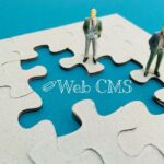 cms website building