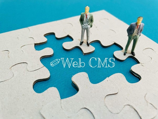 cms website building