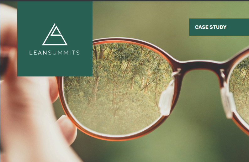 Low Vision Case Study